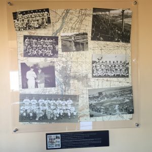 20160205_224157036_iOS-e1527099230968-1