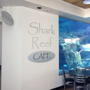 Shark-Reef-Cafe-2-1024x1024