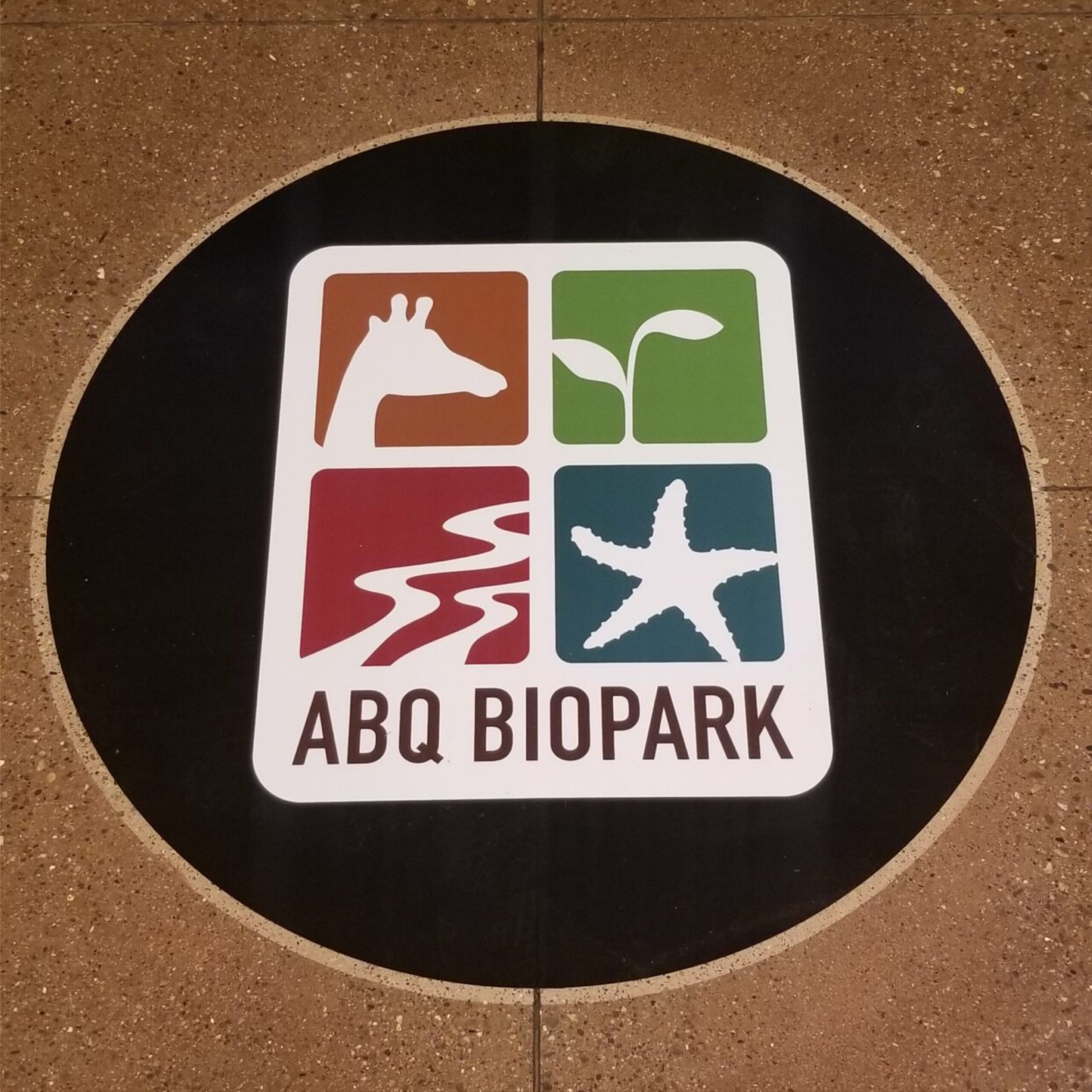 Vinyl - Floor Graphics - General - Specs17