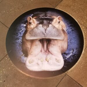 Vinyl - Floor Graphics - General - Specs6