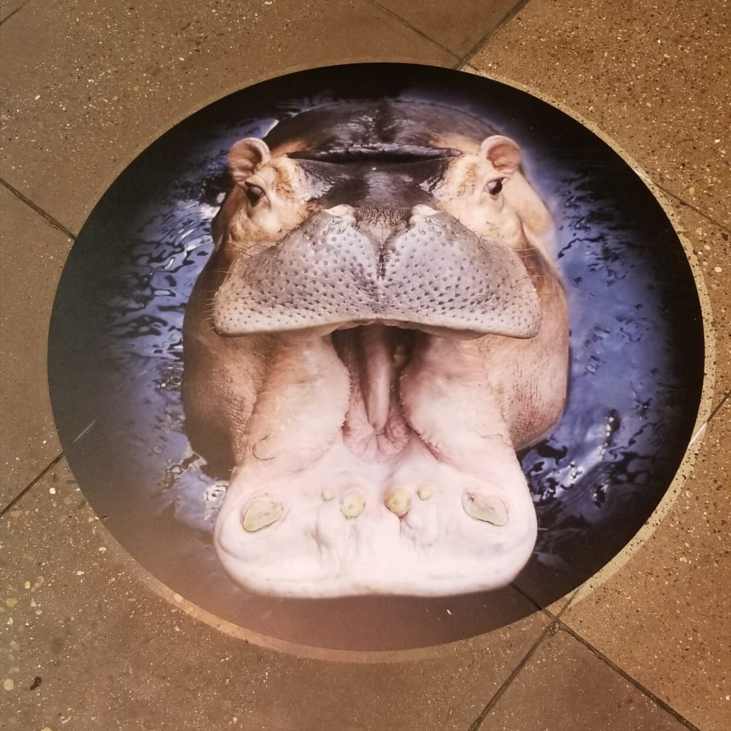 Vinyl - Floor Graphics - General - Specs6