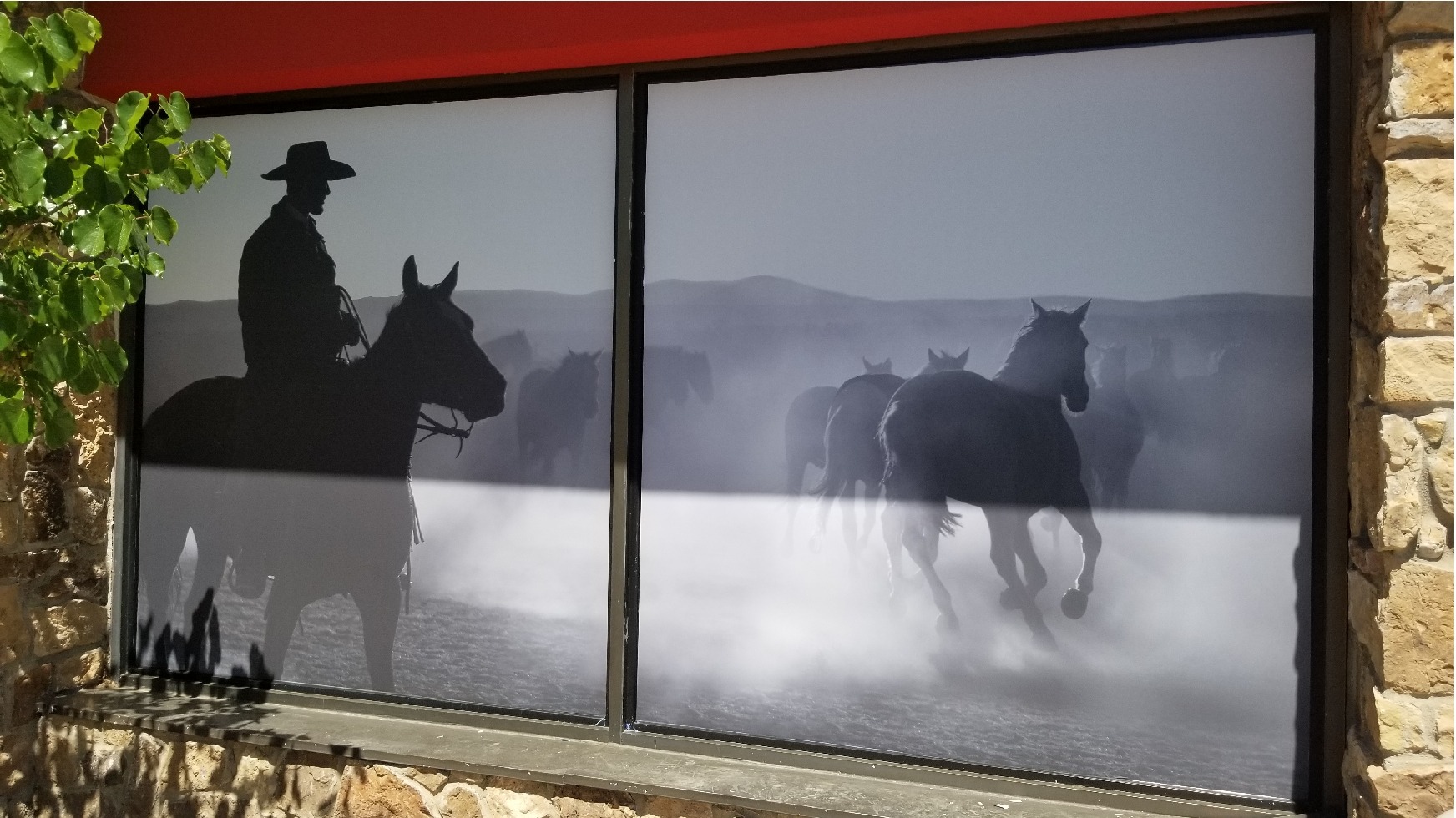 Vinyl - Window Graphics - Exterior 32