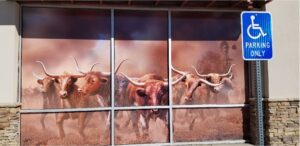 Vinyl - Window Graphics - Exterior 33