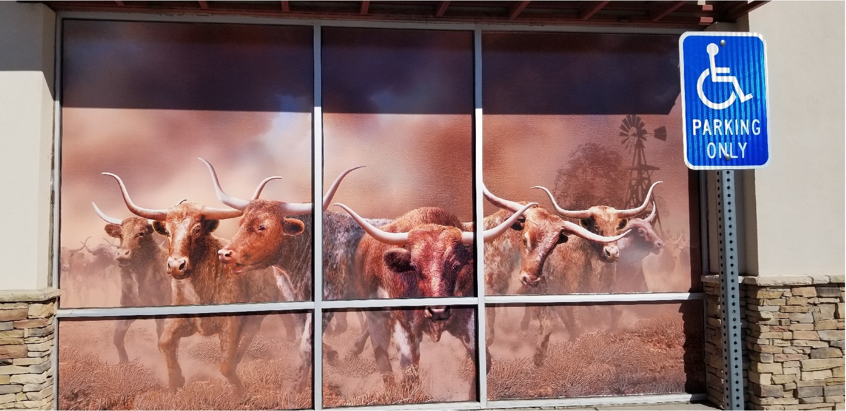 Vinyl - Window Graphics - Exterior 33