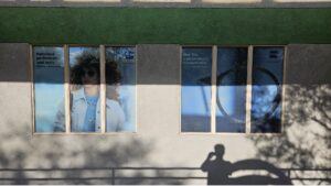 Vinyl - Window Graphics - Exterior 36