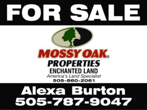 Mossy Oak3