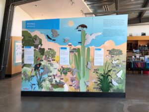 Ideum - Rio Salado 1