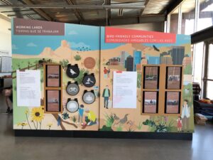 Ideum - Rio Salado 3