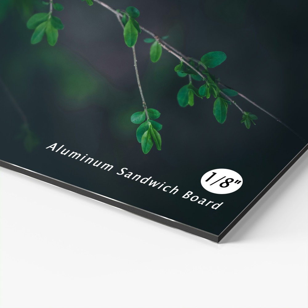 acm1