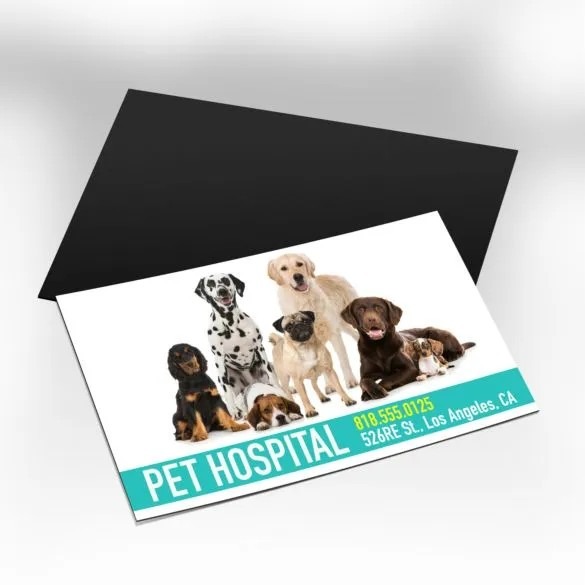 magnet-business-cards-2