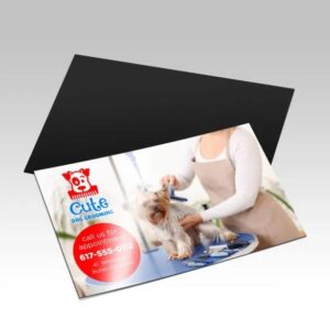 magnet-standard-uv-1