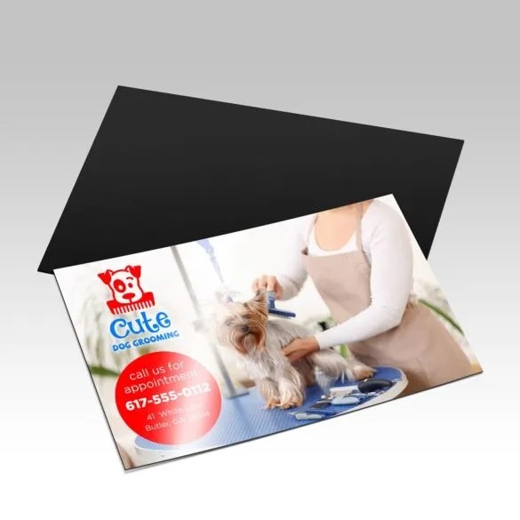 magnet-standard-uv-1