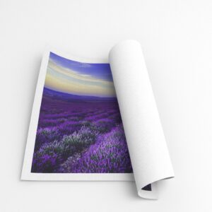 canvas roll2