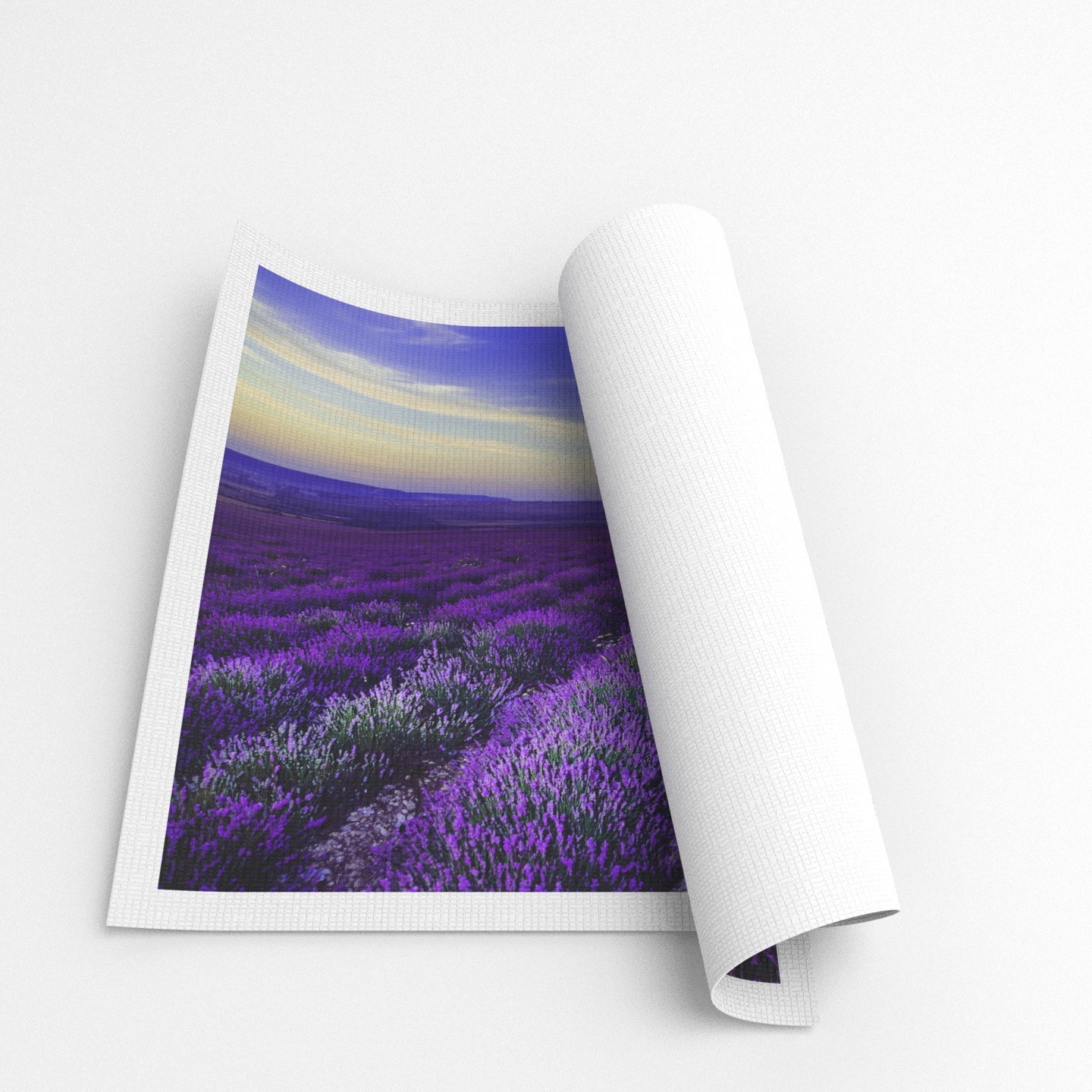 canvas roll2